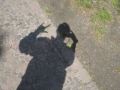 Hang loose