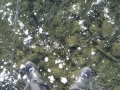 Andreas on ice