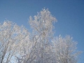 brrrrr