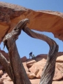 Climbing the Arch