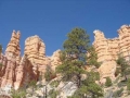 Bryce