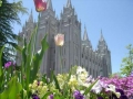 Mormon Temple Salt Lake