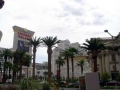 Viva Las Vegas
