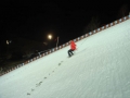 hillslide mit Bjrn