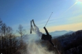 Freestyle