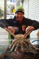 Polnischer Physio mit Krabbe