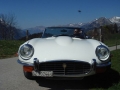 Des Jaguars lange Schnauze